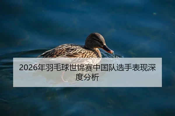 2026年羽毛球世锦赛中国队选手表现深度分析