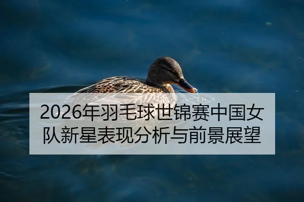 2026年羽毛球世锦赛中国女队新星表现分析与前景展望